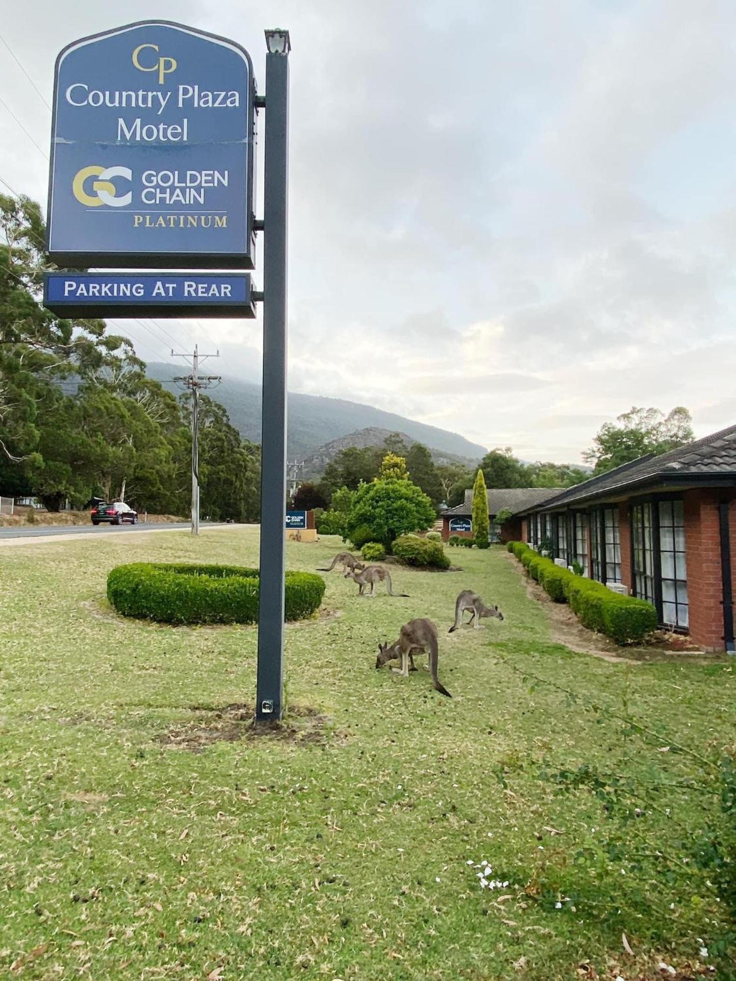 Golden Chain Country Plaza Motel Halls Gap Eksteriør billede
