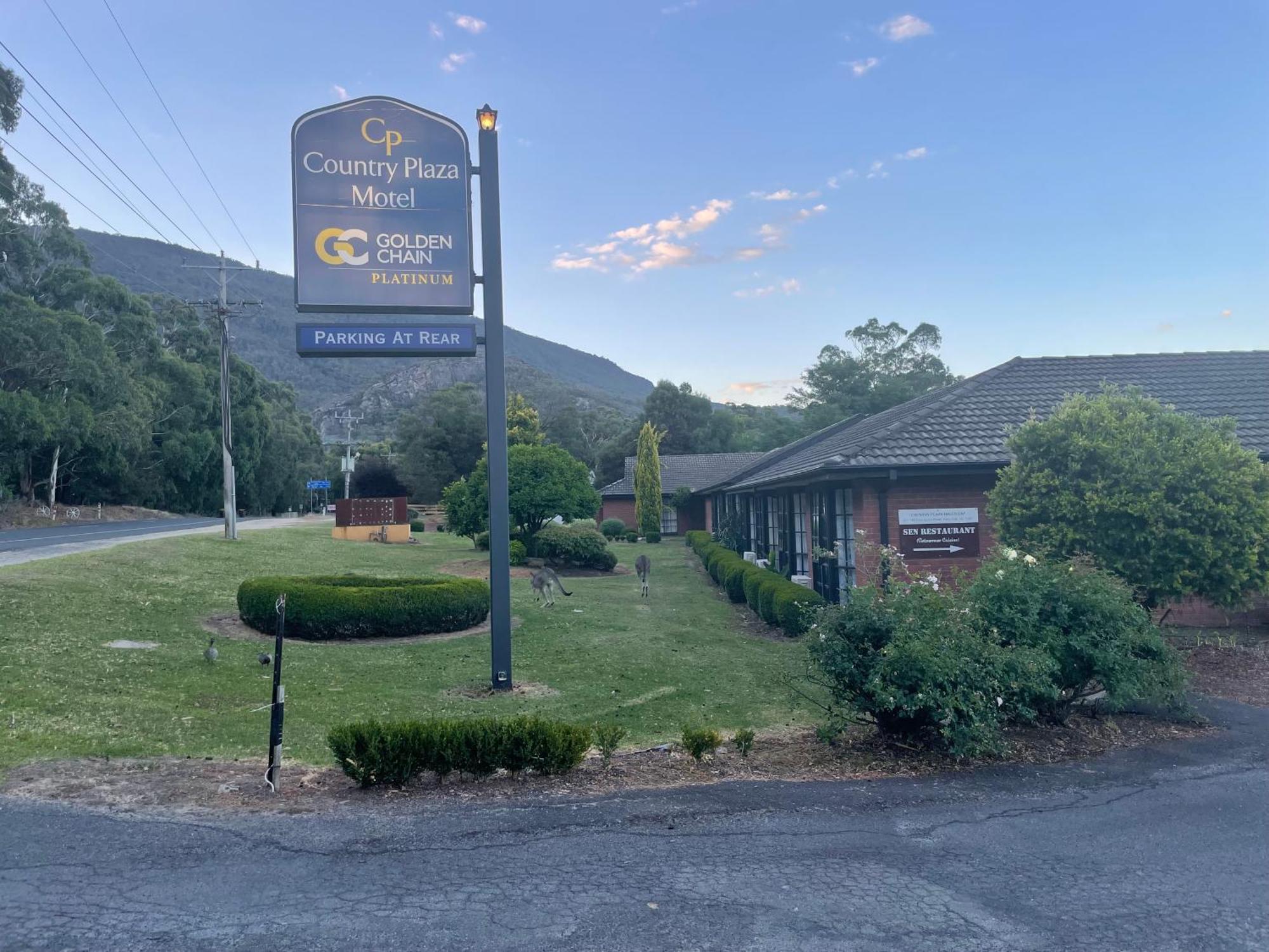 Golden Chain Country Plaza Motel Halls Gap Eksteriør billede